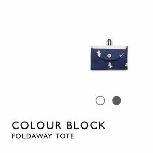 RADLEY LONDON Bags - NWT Radley London Foldaway Tote RADLEY LONDON Bags - NWT Radley London Foldaway Tote